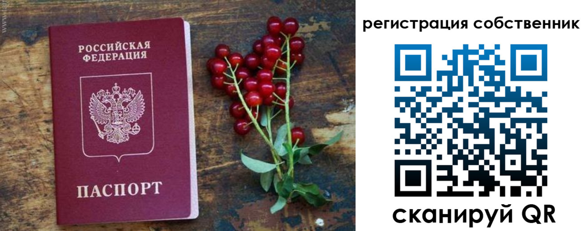 регистрация для дет. сада в Емве